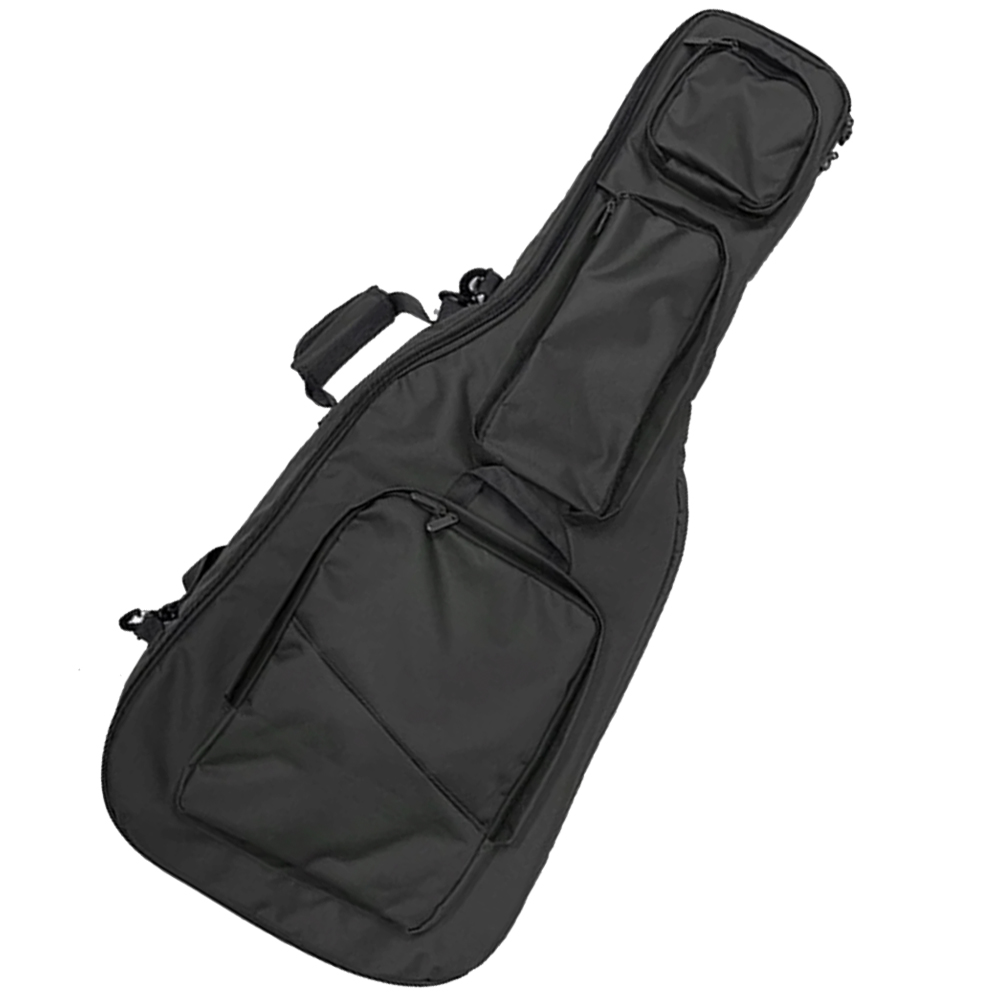Guitar Shape Discreet Double Rifle Case - 41